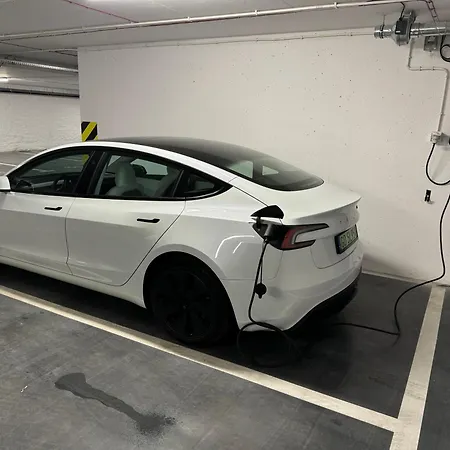 Merwede - Seaside Chill