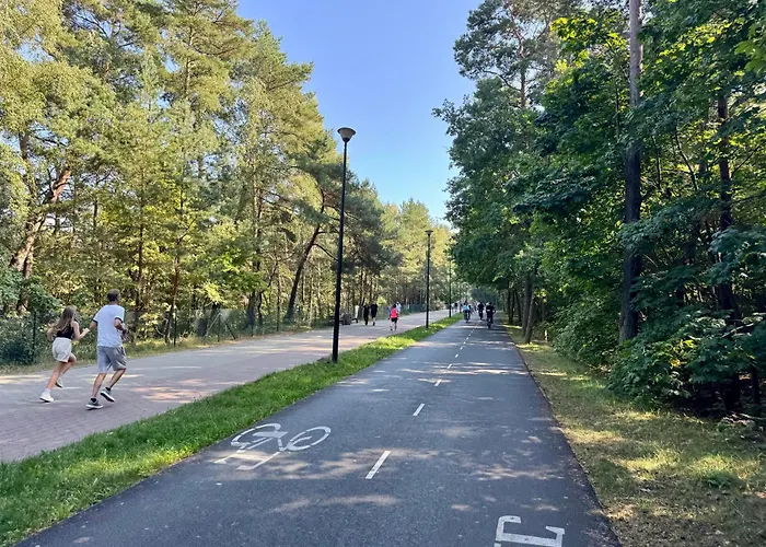 Merwede - Seaside Chill