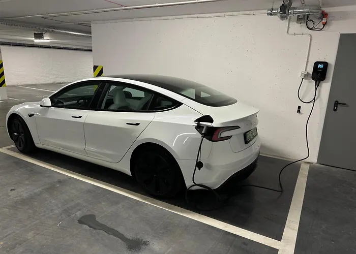 Merwede - Seaside Chill